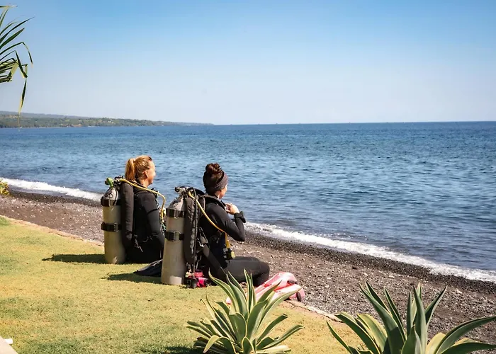 Salty Breeze Amed