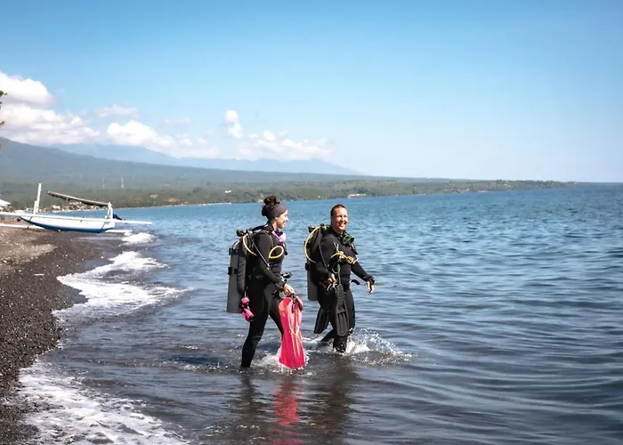 Salty Breeze Amed