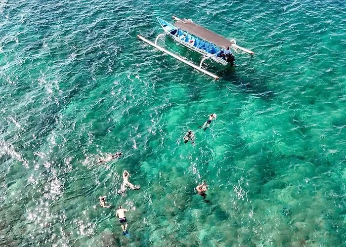 Salty Breeze Amed